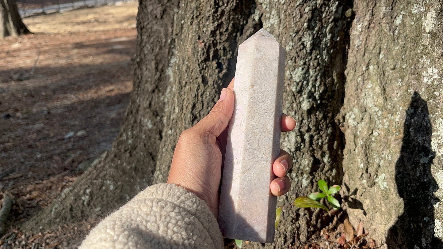 fossilized coral tower