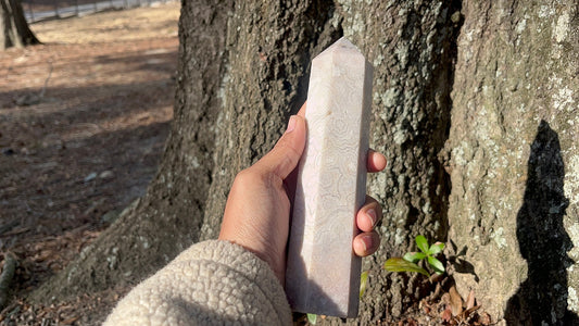 fossilized coral tower